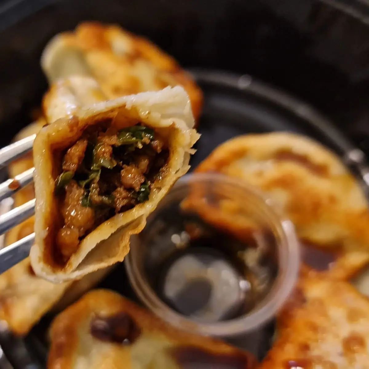 Fried Pork Dumpling 鍋 貼